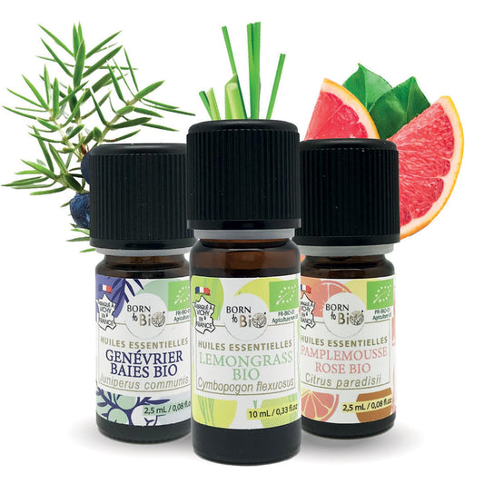 Silhouette theme box-1