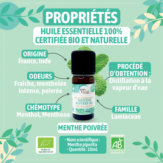 Organic Peppermint essential oil-1