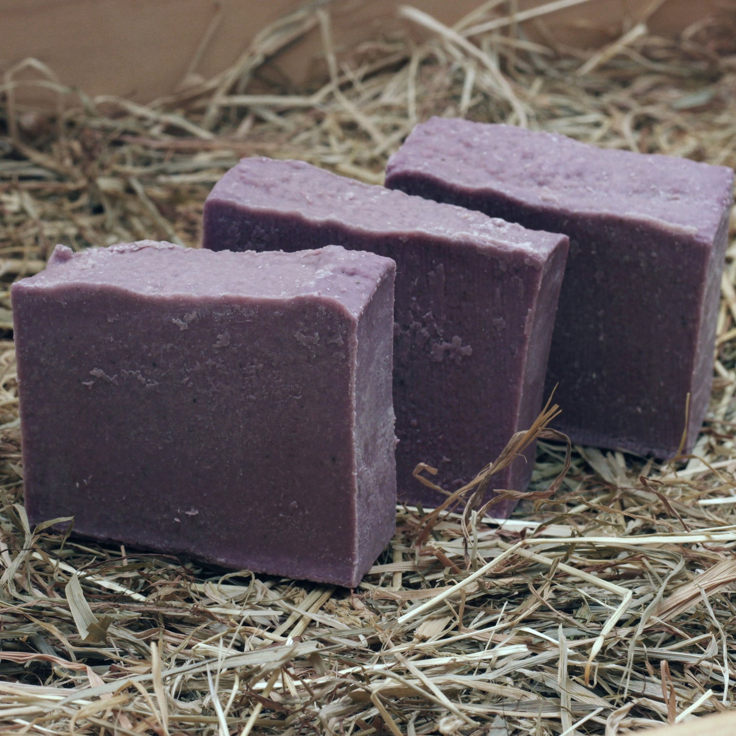 Bath & Body - Tricolor Purple-2