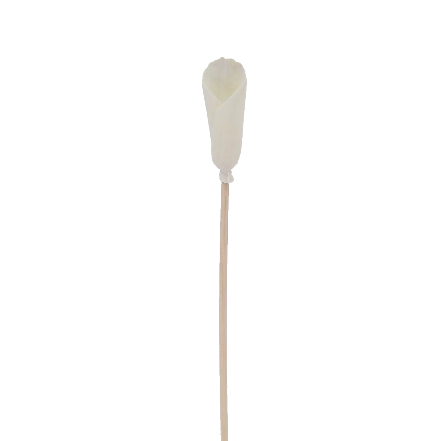 Alocasia Flower - Flower Rattan Diffuser Stick-0