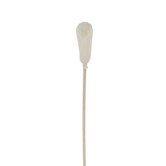 Alocasia Flower - Flower Rattan Diffuser Stick-0