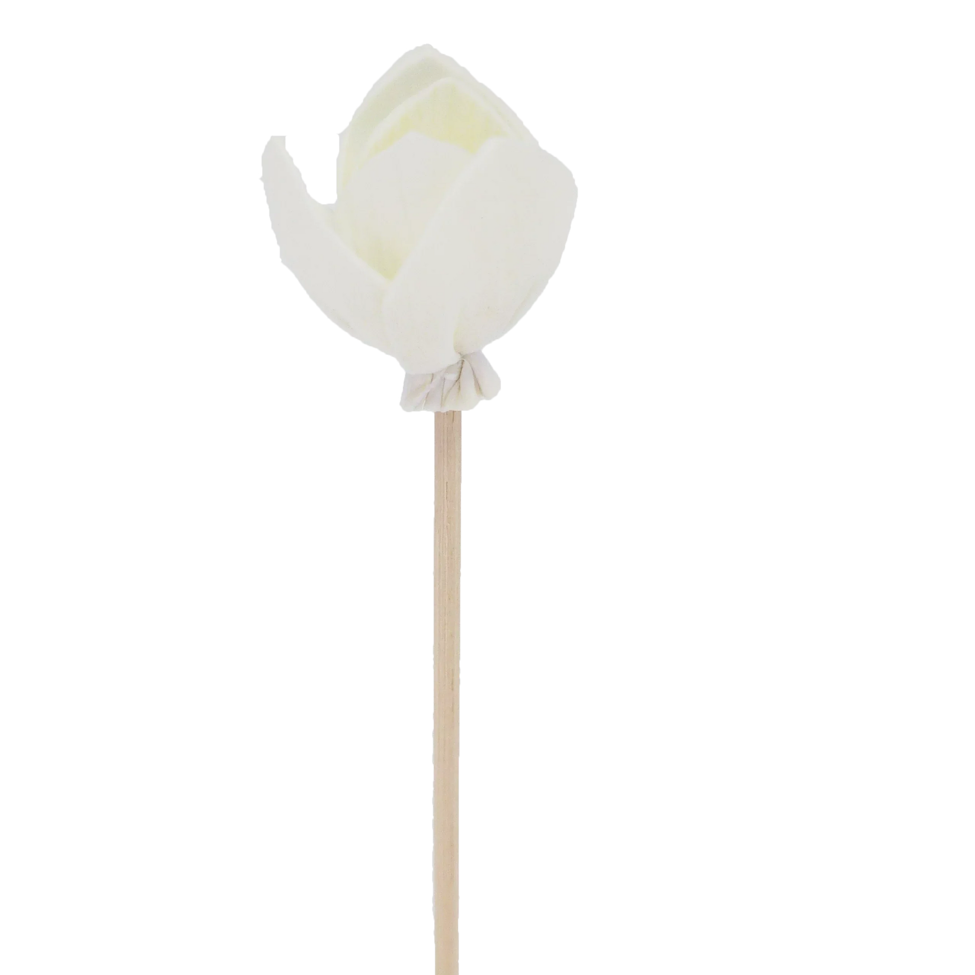Cherry Blossom - Rattan Diffuser Stick-0